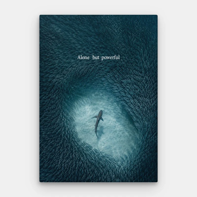 Canvas Bestsellers